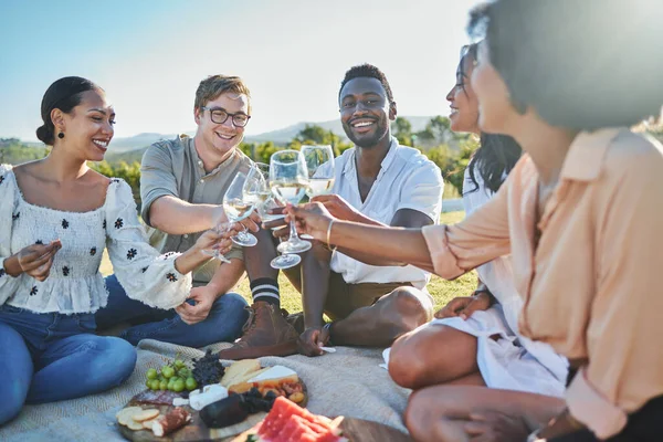 Toast, nature or friends on a picnic to relax on holiday vacation to celebrate diversity or freedom. Cheers, wine and people with a happy smile, support or love in celebration of birthday or reunion.