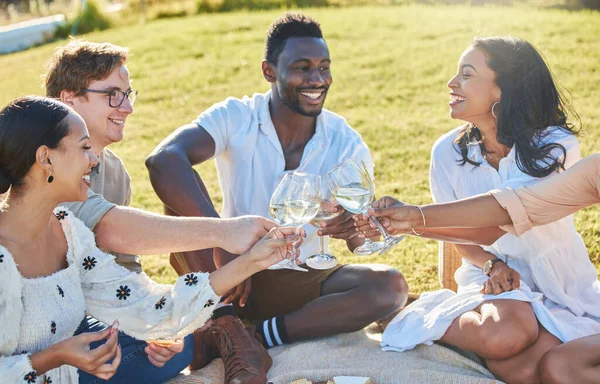 Toast, nature or friends on a picnic to relax on holiday vacation to celebrate diversity or freedom. Cheers, wine and people with a happy smile, support or love in celebration of birthday or reunion.