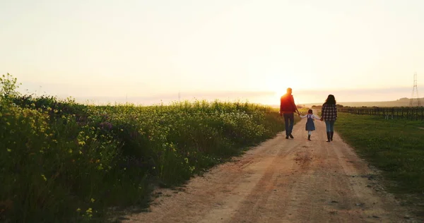 Erkek Kadın Çocuk Çiftlikte Günbatımında Ele Tutuşuyor Doğa Yolunda Yürüyor — Stok fotoğraf