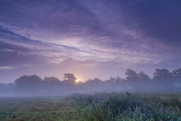 Туманное Утро Ферме Туманный Рассвет Над Спокойной Фермерской Сценой — стоковое фото