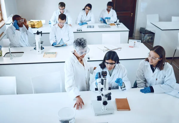 Science, university students and microscope in scientist lab for learning from mentor for medical education or medicine research in class. Pharmacist and chemistry test for women group for analysis.