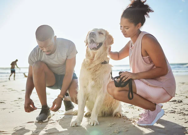 Άσκηση Ζευγάρι Και Σκύλος Στην Παραλία Άσκηση Και Τρέξιμο Στην — Φωτογραφία Αρχείου