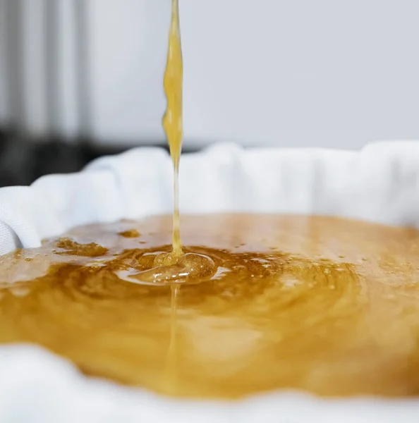 甘い金で工場で蜂蜜の生産 抽出と点滴 コンテナ内のスプラッシュやフィルタ布 カリフォルニア州での機械 養蜂によるハニカム収穫 プロセス — ストック写真