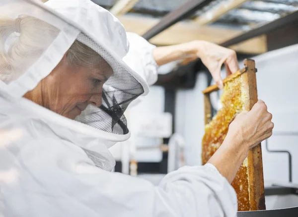 ミツバチの農場 蜂蜜のフレームと女性は工場の抽出機にハニカムを入れます 安全スーツ姿の養蜂家 製造業 女性小規模農家は 工場での収穫のために養蜂を行う — ストック写真