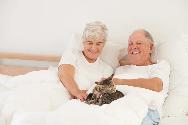彼はいつも財布を持って目を覚ます 猫のいるベッドに寝そべっている老夫婦は — ストック写真