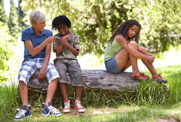 Boys Mean Two Young Boys Teasing Friend While Camp — Stock Photo, Image