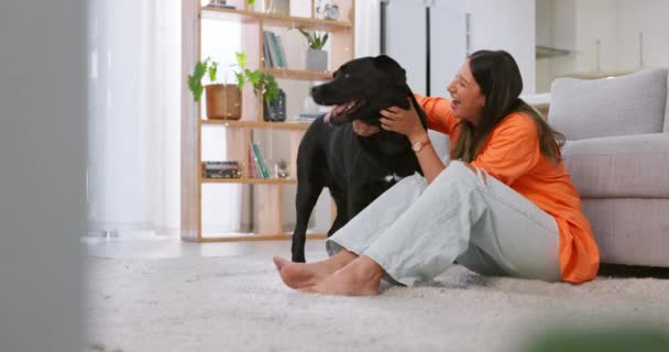 Femeia Fericirea Câinele Într Casă Dragostea Proprietarului Animale Companie Sprijinul — Videoclip de stoc