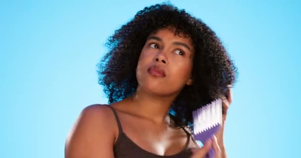ヘアスタイルのフリズや損傷と青の背景に髪のための櫛を持つアフロ 結び目と黒の女性 美容室 美容師 ウェルネス グルーミングや化粧品のためのブラッシングフラストレーションの女の子 — ストック動画