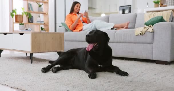 Koppla Selfie Och Hund Med Kvinna Soffan För Helg Paus — Stockvideo