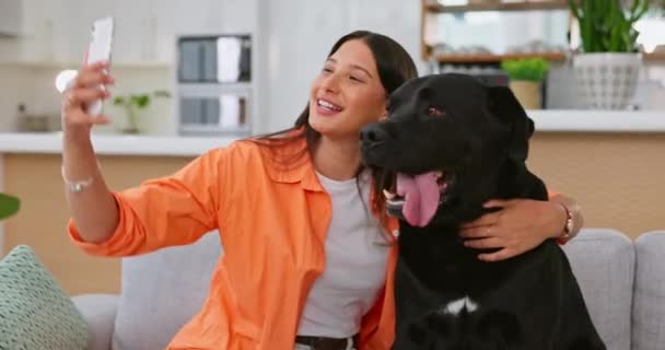 Kadın Köpek Selfie Oturma Odasındaki Kanepede Mutlu Arkadaşlara Sarılmak Dokunmak — Stok video