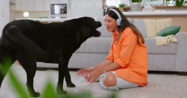 Siyah Köpek Tırmalaması Kadın Hayvan Hayvan Sahibi Bakımlı Oturma Odası — Stok video