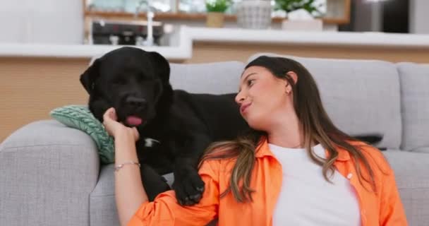 Relaxați Câine Femeie Canapea Joc Fericire Pauză Odihnă Timp Calitate — Videoclip de stoc