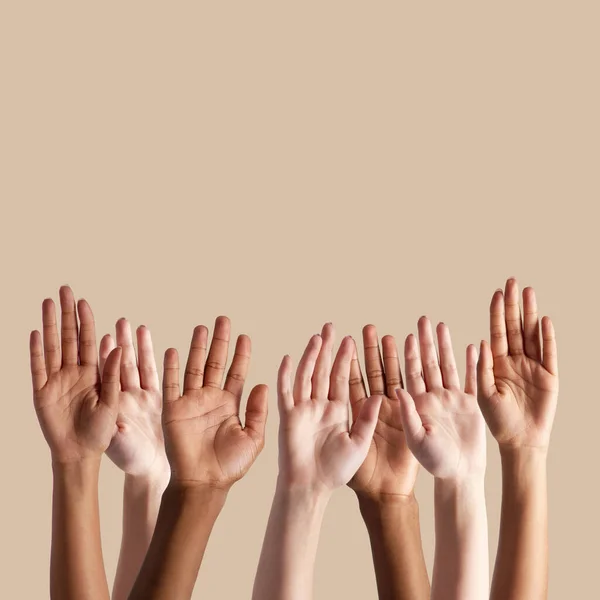 Diversity Mockup Reaching Group Hands Studio Background Question Asking Vote — Stock Photo, Image