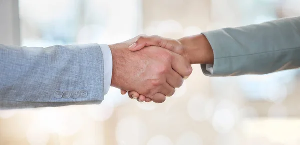 Handshake Negócio Pessoas Negócios Com Uma Reunião Boas Vindas Obrigado — Fotografia de Stock