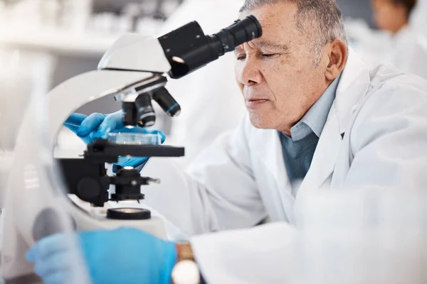 Science, laboratory and senior man with microscope for research, medical study and analytics. Healthcare, biotechnology and old scientist with sample for experiment, vaccine development and medicine.