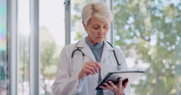 Tablet Tänkande Eller Läkare Som Arbetar Med Forskning Eller Dataanalys — Stockvideo