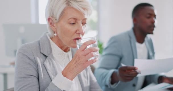 Meeting Office Senior Woman Drinking Water While Planning Project Her — Stock video