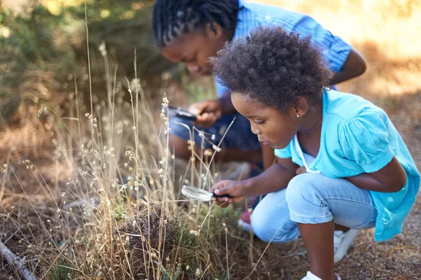 Hmm Whats Cute African American Siblings Spending Time Together Nature — Stock Photo, Image
