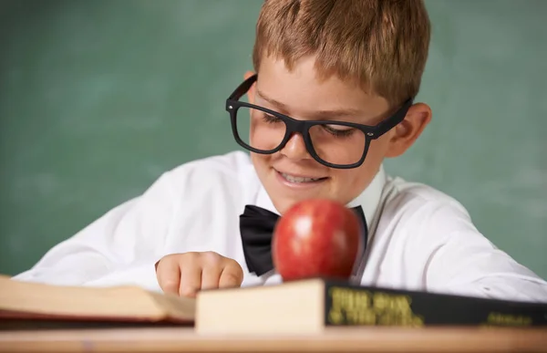 先生ペット 眼鏡をかけ 読書と笑顔に集中する蝶ネクタイの少年 — ストック写真