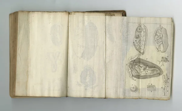Meteoroloji Kitabı Sayfaları Sergilenen Eski Bir Tıp Kitabı — Stok fotoğraf