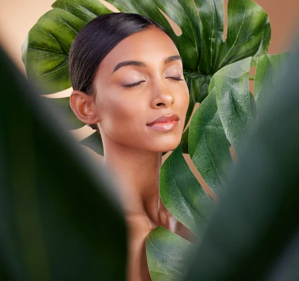 Kvinna Ansikte Och Blad Naturlig Hudvård Kosmetika Självkärlek Eller Aloe — Stockfoto