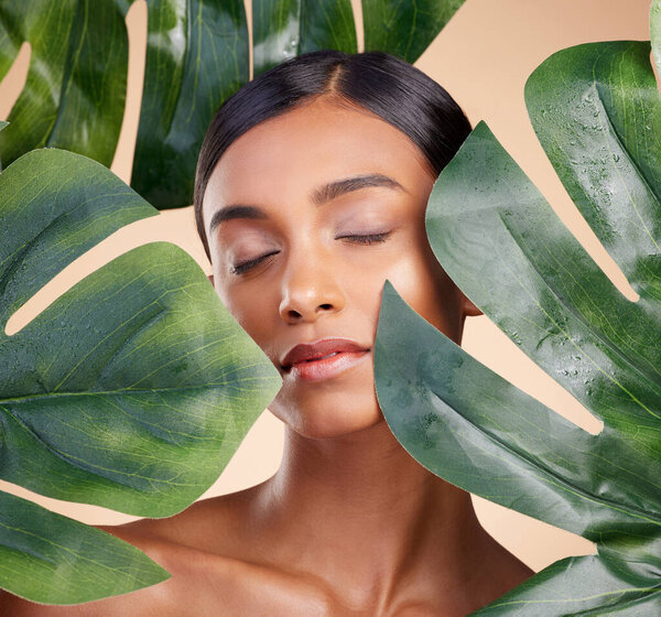 Woman, face and leaf in natural skincare cosmetics, self love and care against studio background. Calm female beauty holding leafy green organic plant for sustainable eco facial spa treatment.