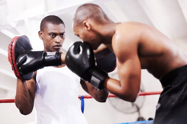 Youve Got More You Boxer Practicing His Sparring Partner Ring — Stock Photo, Image