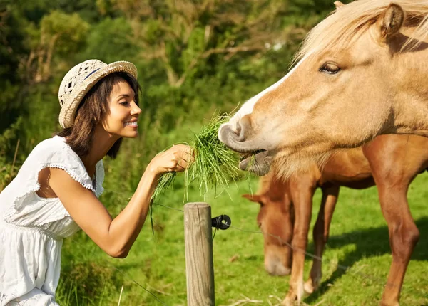 Сохраняйте Спокойствие Любите Лошадей Красивая Женщина Проводящая Время Сельской Местности — стоковое фото