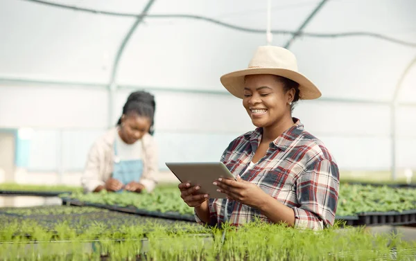 African American Farmer Using Digital Tablet Young Farmer Planning Her — Stock Photo, Image