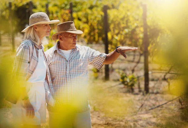 Two senior farmers talking in vineyard. Elderly man and woman standing on a wine farm and pointing while looking at the crops. Colleagues and friends discussing agriculture and produce for harvest.