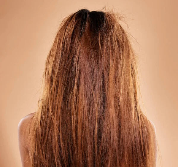 Messy, damaged hair and back of a woman in a studio with a brittle frizzy hairstyle before a treatment. Dirty, dry and female model with long, tangled and knot texture isolated by a brown background