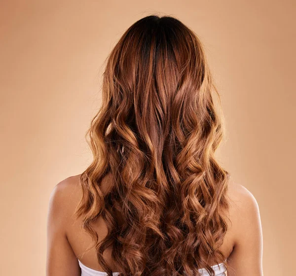 Péče Vlasy Záda Krásu Ženy Kudrnatými Vlasy Studiu Izolovaných Hnědém — Stock fotografie