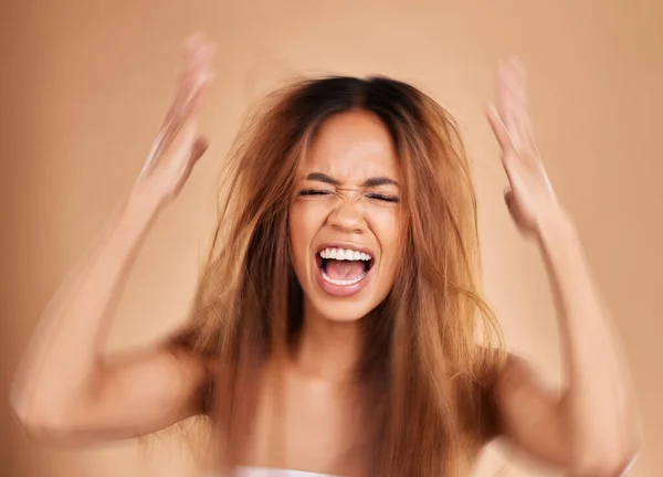 Kemarahan Teriakan Dan Wanita Dengan Rambut Rontok Studio Terisolasi Dengan — Stok Foto