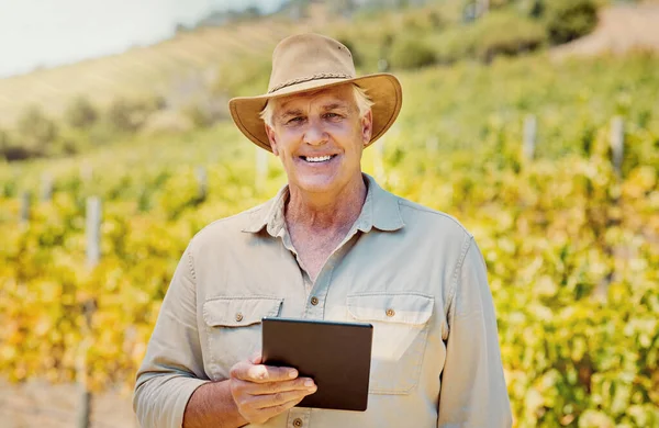 ブドウ畑でデジタルタブレットを使って自信を持った高齢者の白人農家を笑顔にする 一人で立っている高齢者や夏にワイン農場で技術を使用しています 彼の作物と農業で幸せな農家 — ストック写真