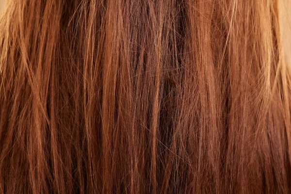 有破碎 角蛋白或发型问题的妇女的理发 质感和美容特写 宏观型和女性型 头发凌乱 蓬乱或脱发 经沙龙处理后损坏或缠结 — 图库照片