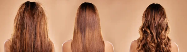 Haarpflege Schönheit Und Rücken Einer Frau Studio Mit Gesunder Sauberer — Stockfoto