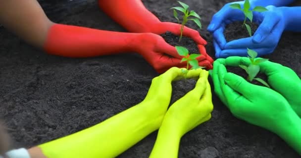 Bunt Bemalte Hände Die Pflanzen Für Vielfalt Wachstum Und Entwicklung — Stockvideo