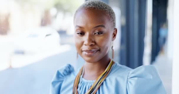 手挽手的黑人妇女的脸 业务和微笑 带着职业或工作的自豪跨入了办公室 来自南非的形象 自信或自豪的女企业家 — 图库视频影像
