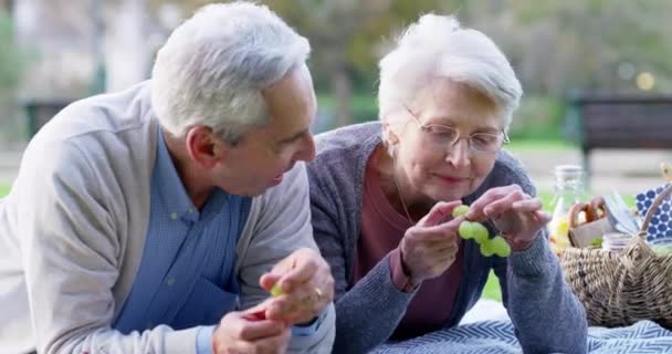 Para Seniorów Piknik Parku Jedzenie Winogron Miłości Połączenie Więzi Razem — Wideo stockowe