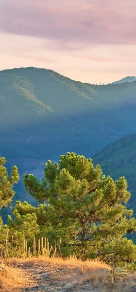 stock image Ronda - the ancient city of Ronda, Andalusia. Landscape around old city of Ronda, Andalusia, Spain