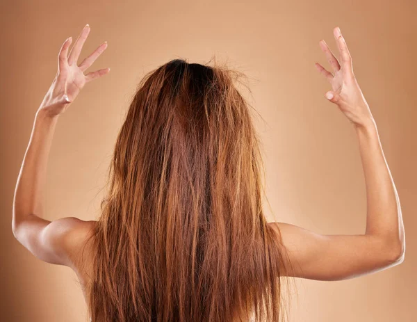 結び目があり 脆く傷んだ髪型のスタジオで女性のメッシー 絡まりと背中 乾燥した フリジーと茶色の背景によって隔離されたサロンの回復治療のための長く大きな髪を持つ女性モデル — ストック写真