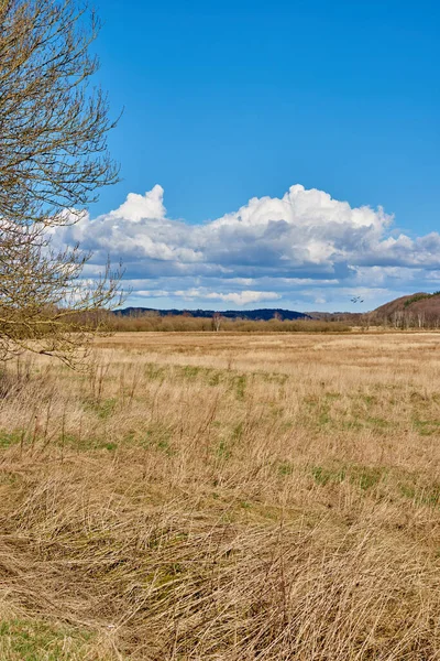 开阔的田野或草地 浅褐色的草地映衬在地平线上 蓝蓝的天空下 大片农田 阳光灿烂的日子里 一个广阔的农场 — 图库照片