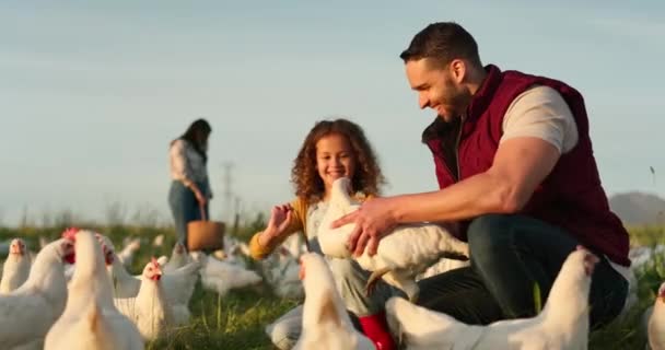 Matka Ojciec Dziecko Kurczakiem Farmie Bawiącym Się Rolnictwem Zbierającym Drób — Wideo stockowe