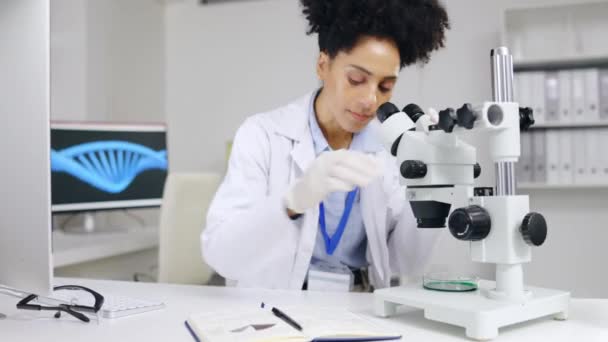 현미경으로 관찰하는 미생물학 과학자들은 바이러스 계획하고 의학적 계획을 실험실에 — 비디오