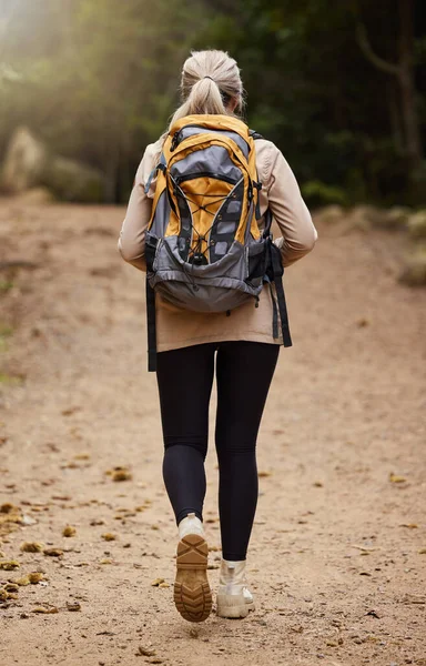 Girl Hiking Back View Woman Nature Forest Wilderness Trekking Adventure — Stock Photo, Image