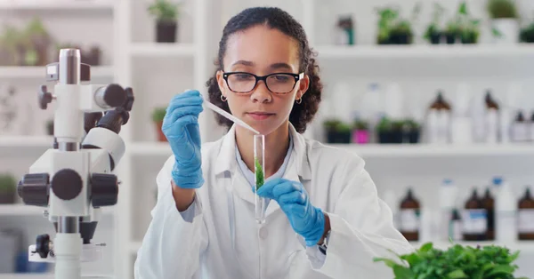 私の情熱はすべての科学のためです 研究室で植物サンプルを扱う若い科学者は — ストック写真