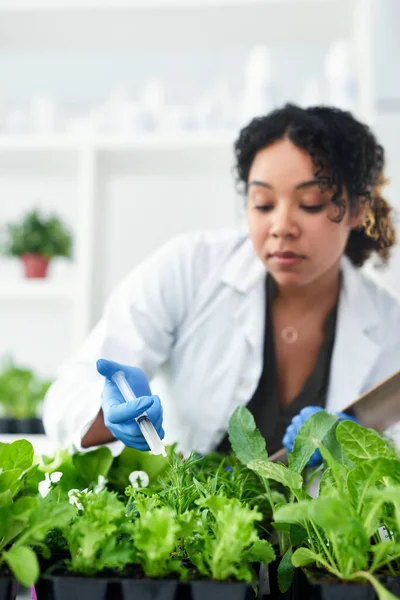 Moim Celem Jest Podwojenie Produkcji Roślinnej Kobieta Naukowiec Eksperymentująca Roślinami — Zdjęcie stockowe