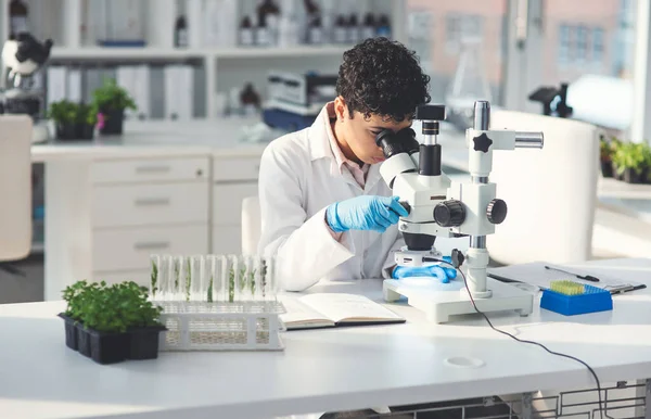 発見することがたくさんあります見てください 研究室で植物と仕事をしながら顕微鏡を見ている魅力的な若い女性科学者は — ストック写真