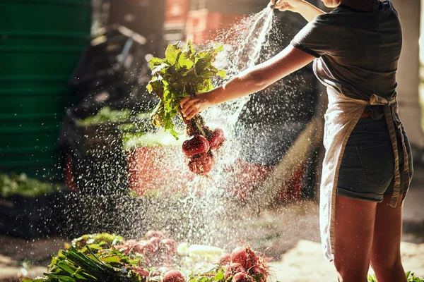 Vers Schoon Vrij Van Pesticiden Een Onherkenbare Vrouwelijke Boer Spoelt — Stockfoto