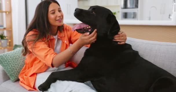 快乐的女人和她的狗躺在沙发上休息 以获得精神健康 健康或情感支持 爱和照顾 年轻人在客厅沙发上放松 爱抚宠物狗 动物或拉布拉多猎犬 — 图库视频影像